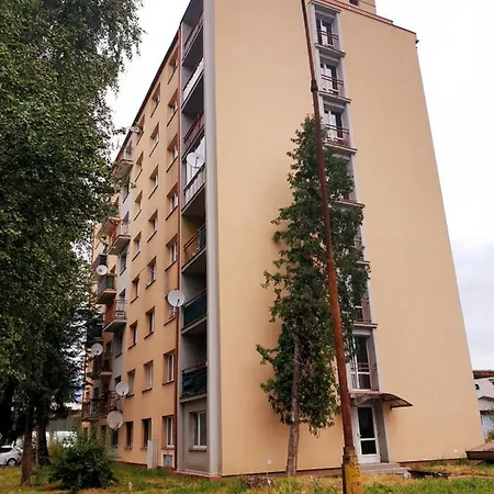 Terminal, Self Check-in 24 H, Free Parking *